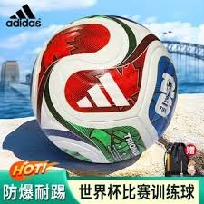 国米夺得双冠荣誉 MVP球员展现出色表现